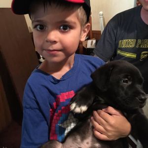 Meet your Posher, Jennie